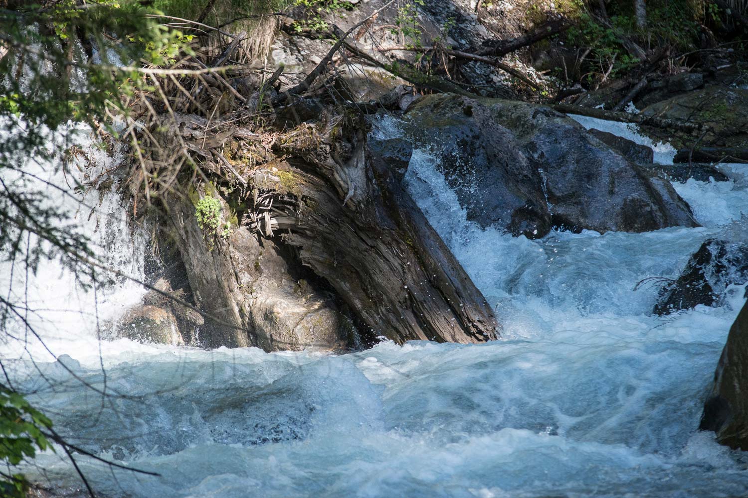 La source de la Rippaz