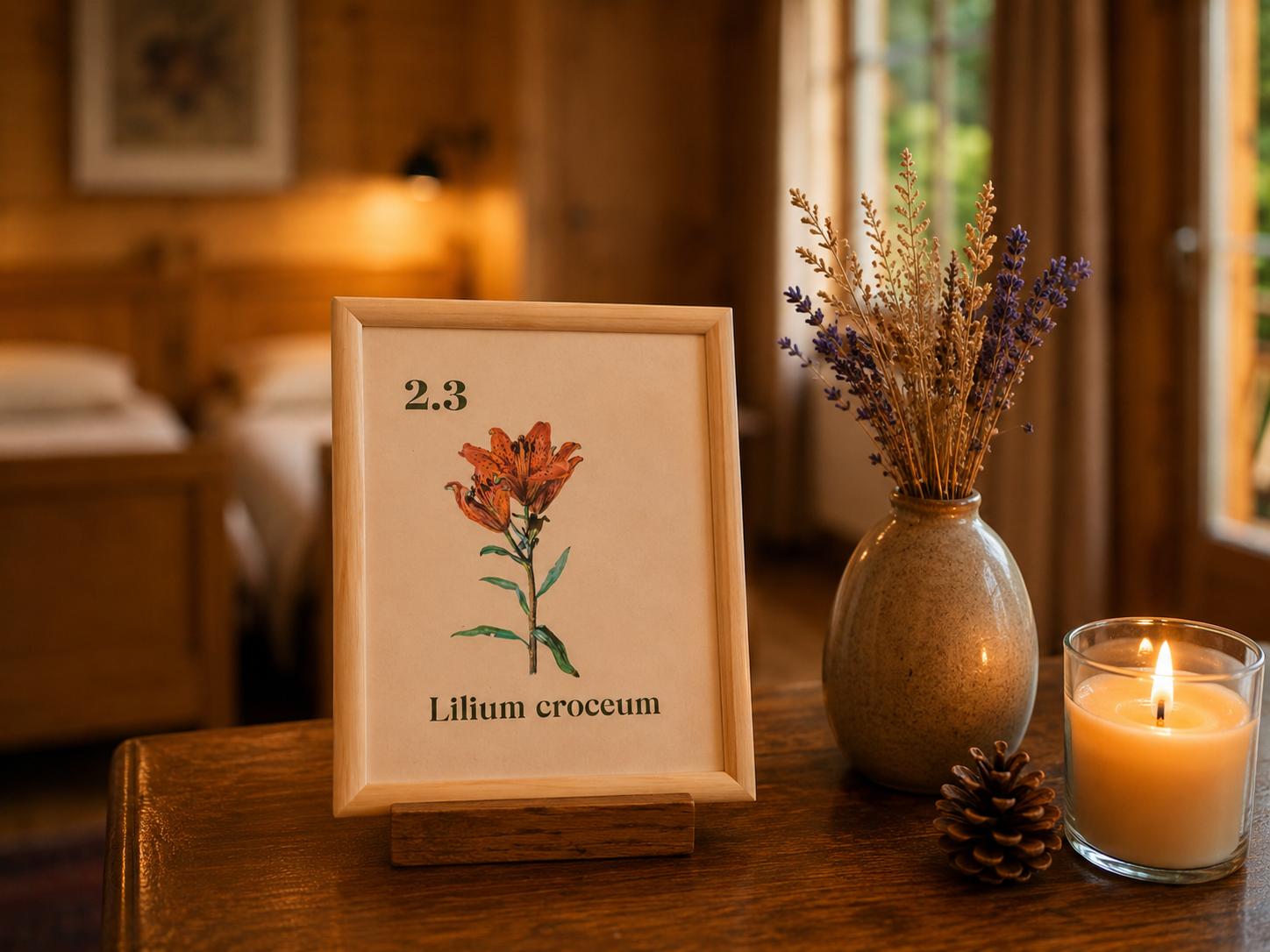 Chambre 2.3 Lilium Croceum, vue 8
